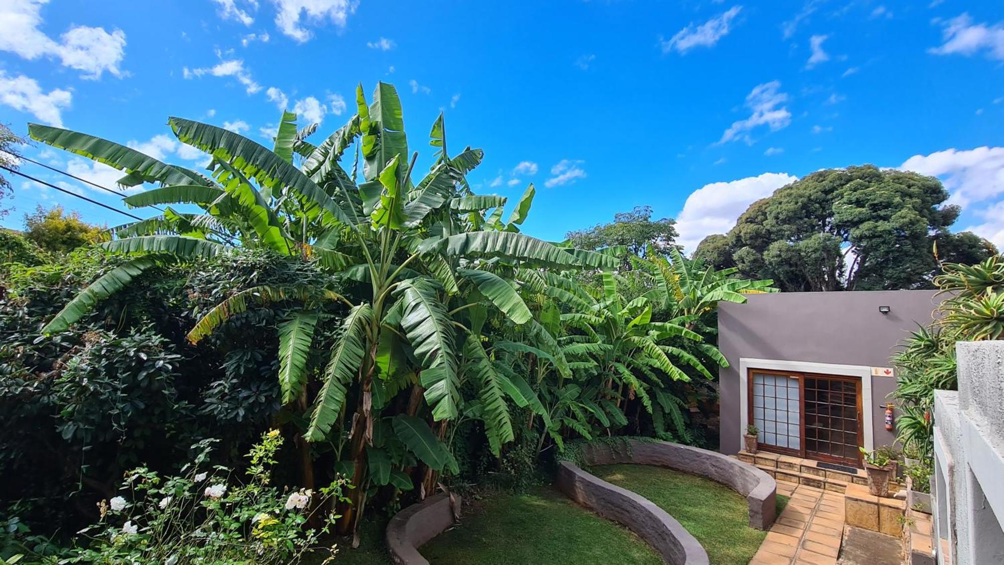 7Th Street Guesthouse Johannesburg Bagian luar foto