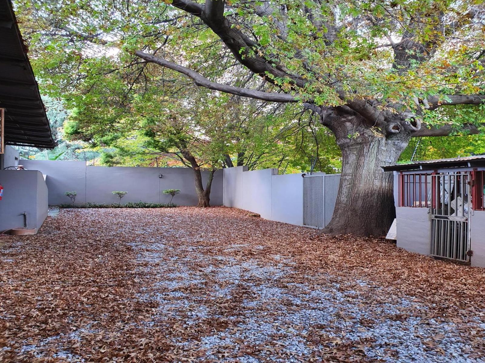 7Th Street Guesthouse Johannesburg Bagian luar foto