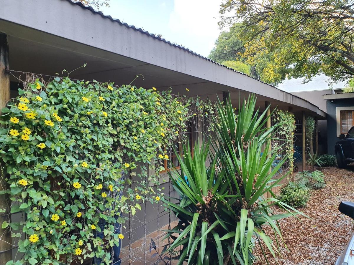 7Th Street Guesthouse Johannesburg Bagian luar foto